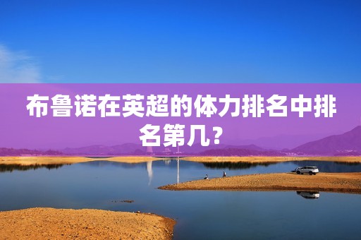 布鲁诺在英超的体力排名中排名第几？