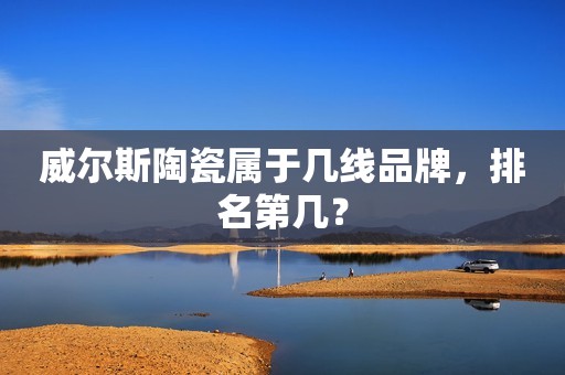 威尔斯陶瓷属于几线品牌，排名第几？