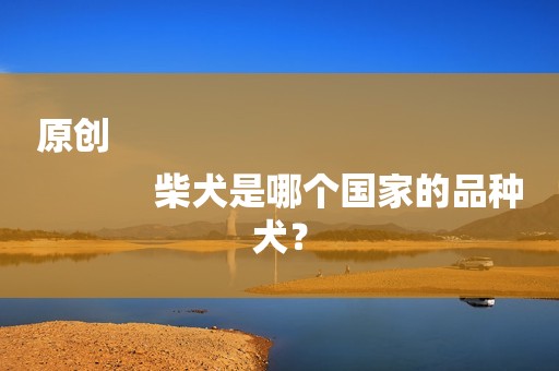 原创
            柴犬是哪个国家的品种犬？