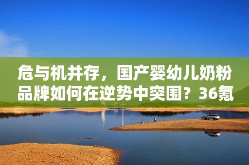 危与机并存，国产婴幼儿奶粉品牌如何在逆势中突围？36氪2019-09-27 19:4536氪2019-09-27 19:45