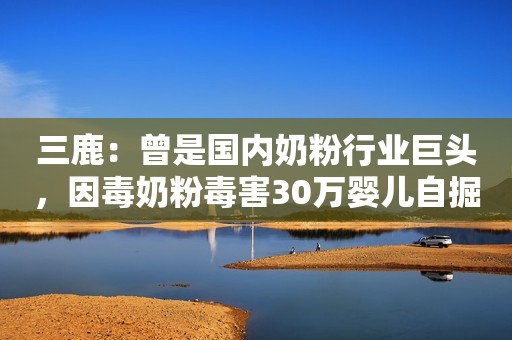 三鹿：曾是国内奶粉行业巨头，因毒奶粉毒害30万婴儿自掘坟墓