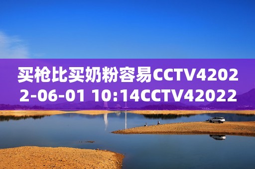 买枪比买奶粉容易CCTV42022-06-01 10:14CCTV42022-06-01 10:14
