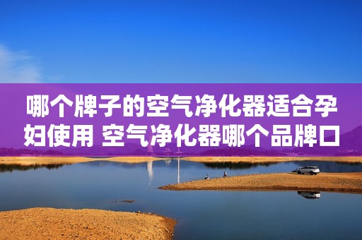 哪个牌子的空气净化器适合孕妇使用 空气净化器哪个品牌口碑好