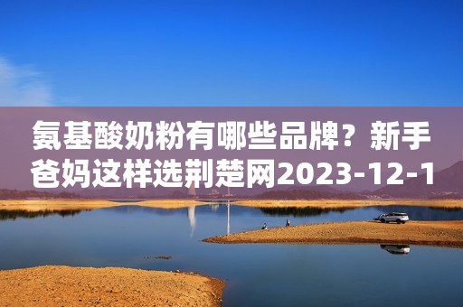 氨基酸奶粉有哪些品牌？新手爸妈这样选荆楚网2023-12-11 22:53荆楚网2023-12-11 22:53
