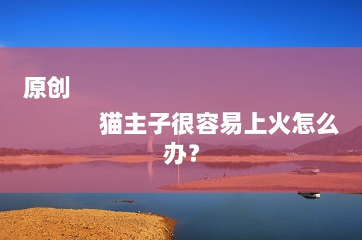 原创
            猫主子很容易上火怎么办？