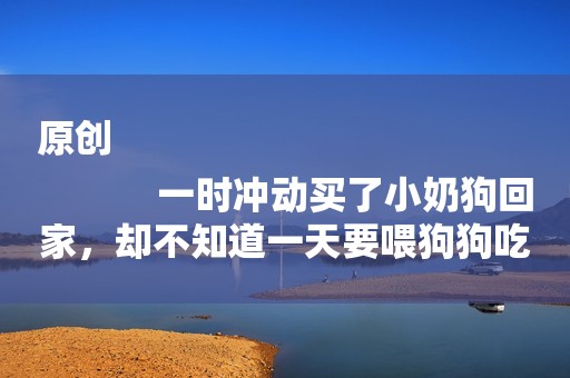 原创
            一时冲动买了小奶狗回家，却不知道一天要喂狗狗吃几次