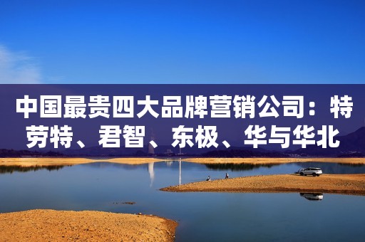 中国最贵四大品牌营销公司：特劳特、君智、东极、华与华北青网2022-11-23 12:12北京北青网2022-11-23 12:12北京