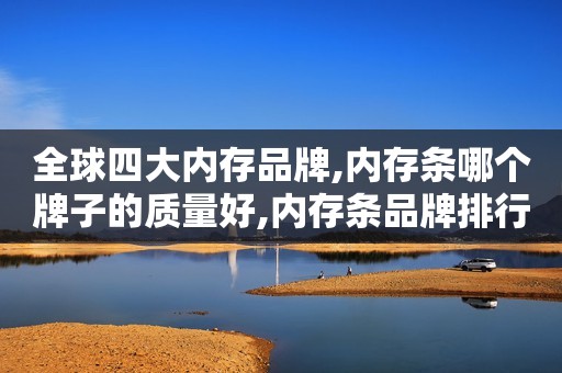 全球四大内存品牌,内存条哪个牌子的质量好,内存条品牌排行榜