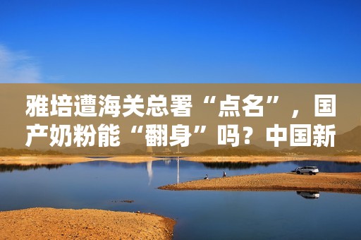 雅培遭海关总署“点名”，国产奶粉能“翻身”吗？中国新闻周刊2022-03-07 14:11中国新闻周刊2022-03-07 14:11