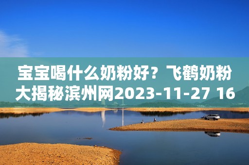 宝宝喝什么奶粉好？飞鹤奶粉大揭秘滨州网2023-11-27 16:24湖北滨州网2023-11-27 16:24湖北