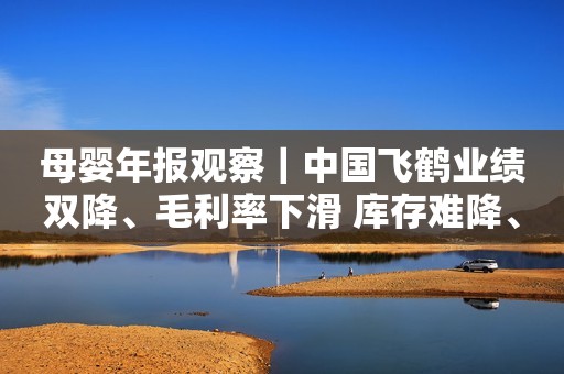 母婴年报观察｜中国飞鹤业绩双降、毛利率下滑 库存难降、旧国标奶粉尚未出清新浪财经2023-03-30 18:37新浪财经2023-03-30 18:37