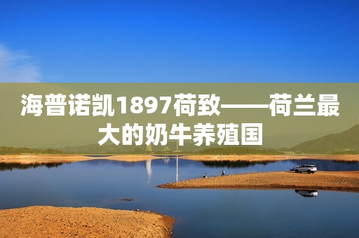 海普诺凯1897荷致——荷兰最大的奶牛养殖国