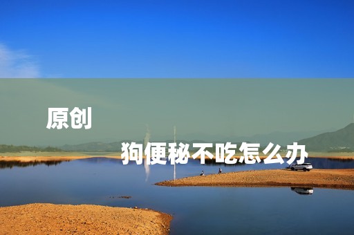 原创
            狗便秘不吃怎么办