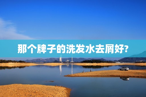 那个牌子的洗发水去屑好?