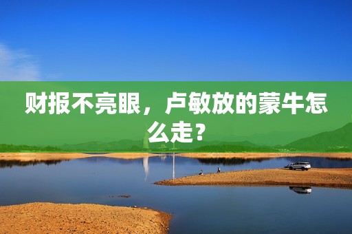 财报不亮眼，卢敏放的蒙牛怎么走？