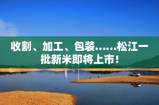 收割、加工、包装……松江一批新米即将上市！