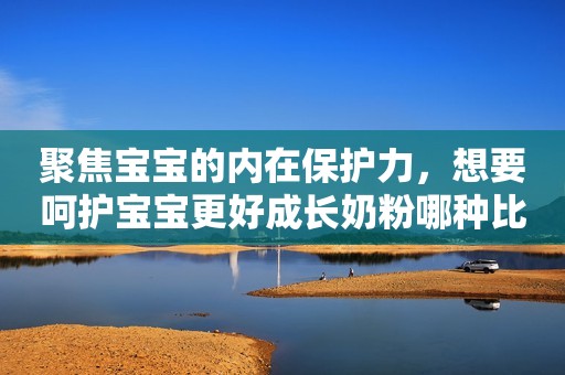 聚焦宝宝的内在保护力，想要呵护宝宝更好成长奶粉哪种比较好？