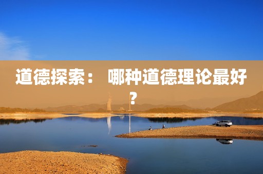道德探索： 哪种道德理论最好？