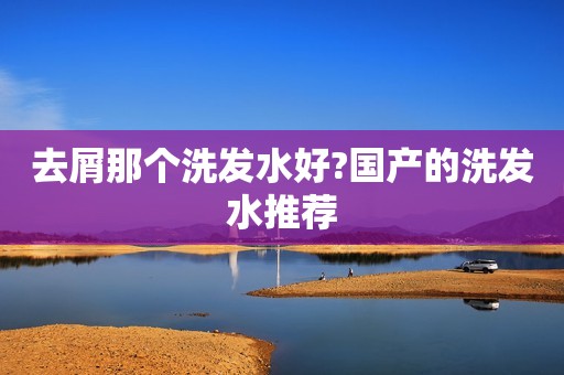 去屑那个洗发水好?国产的洗发水推荐