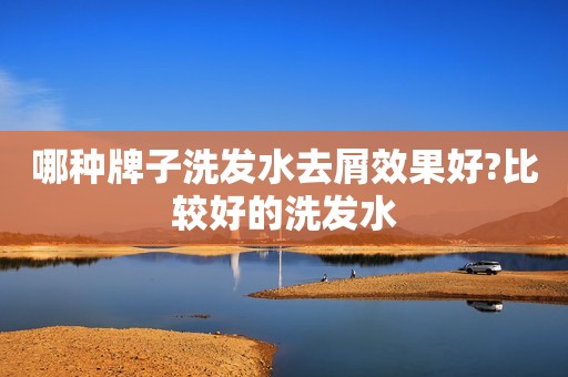 哪种牌子洗发水去屑效果好?比较好的洗发水