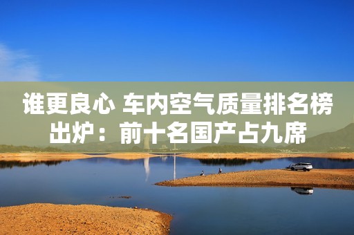谁更良心 车内空气质量排名榜出炉：前十名国产占九席