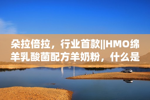 朵拉倍拉，行业首款||HMO绵羊乳酸菌配方羊奶粉，什么是HMO？HMO有什么好处？