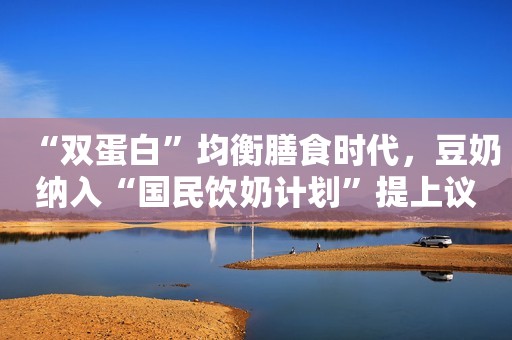 “双蛋白”均衡膳食时代，豆奶纳入“国民饮奶计划”提上议程