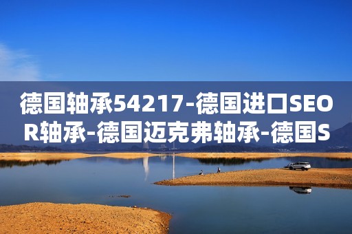 德国轴承54217-德国进口SEOR轴承-德国迈克弗轴承-德国SEOR进口轴承