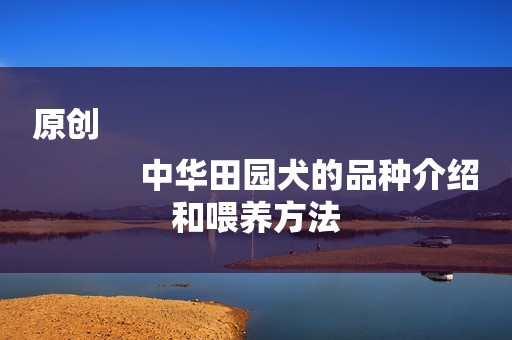 原创
            中华田园犬的品种介绍和喂养方法