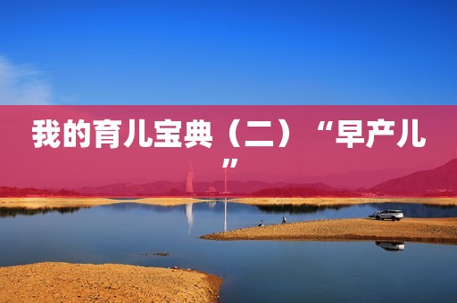 我的育儿宝典（二）“早产儿”