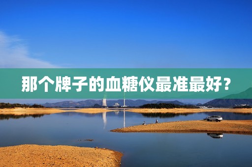 那个牌子的血糖仪最准最好？