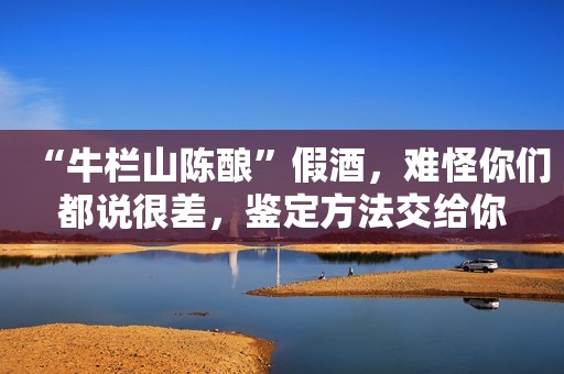 “牛栏山陈酿”假酒，难怪你们都说很差，鉴定方法交给你