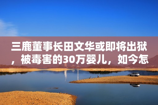 三鹿董事长田文华或即将出狱，被毒害的30万婴儿，如今怎么样了？