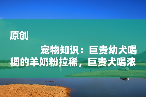 原创
            宠物知识：巨贵幼犬喝稠的羊奶粉拉稀，巨贵犬喝浓稠的羊奶拉稀