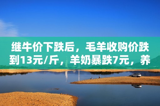 继牛价下跌后，毛羊收购价跌到13元/斤，羊奶暴跌7元，养殖户咋办