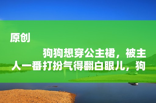 原创
            狗狗想穿公主裙，被主人一番打扮气得翻白眼儿，狗：能换主人吗
