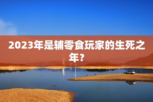 2023年是辅零食玩家的生死之年？