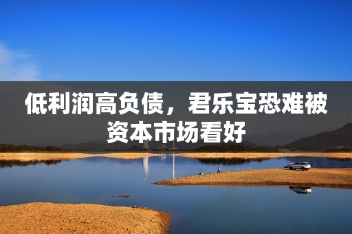 低利润高负债，君乐宝恐难被资本市场看好