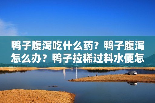 鸭子腹泻吃什么药？鸭子腹泻怎么办？鸭子拉稀过料水便怎么办？鸭子拉稀用药​