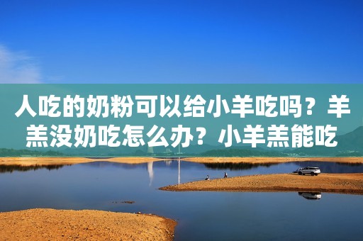 人吃的奶粉可以给小羊吃吗？羊羔没奶吃怎么办？小羊羔能吃什么？