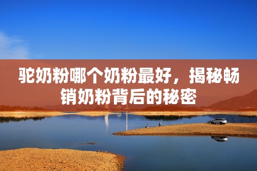 驼奶粉哪个奶粉最好，揭秘畅销奶粉背后的秘密