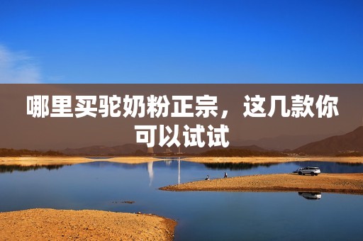 哪里买驼奶粉正宗，这几款你可以试试