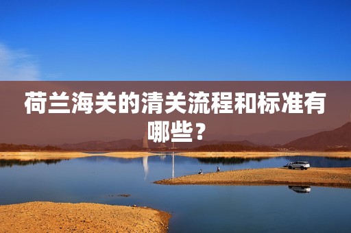 荷兰海关的清关流程和标准有哪些？