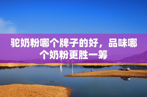驼奶粉哪个牌子的好，品味哪个奶粉更胜一筹