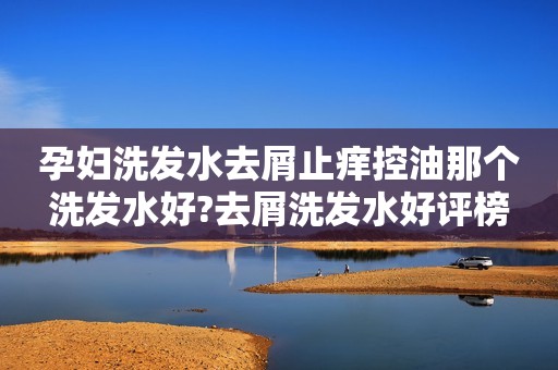 孕妇洗发水去屑止痒控油那个洗发水好?去屑洗发水好评榜