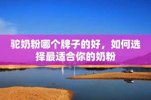 驼奶粉哪个牌子的好，如何选择最适合你的奶粉
