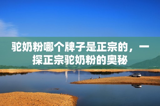 驼奶粉哪个牌子是正宗的，一探正宗驼奶粉的奥秘