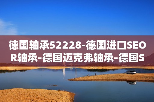 德国轴承52228-德国进口SEOR轴承-德国迈克弗轴承-德国SEOR进口轴承