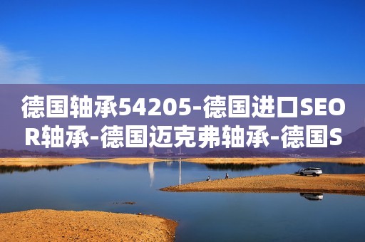德国轴承54205-德国进口SEOR轴承-德国迈克弗轴承-德国SEOR进口轴承