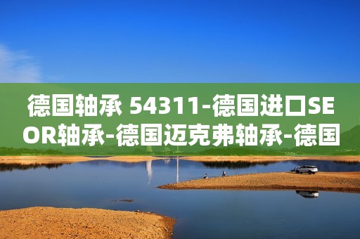 德国轴承 54311-德国进口SEOR轴承-德国迈克弗轴承-德国SEOR进口轴承
